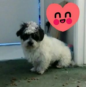 Meet your Posher, Benny